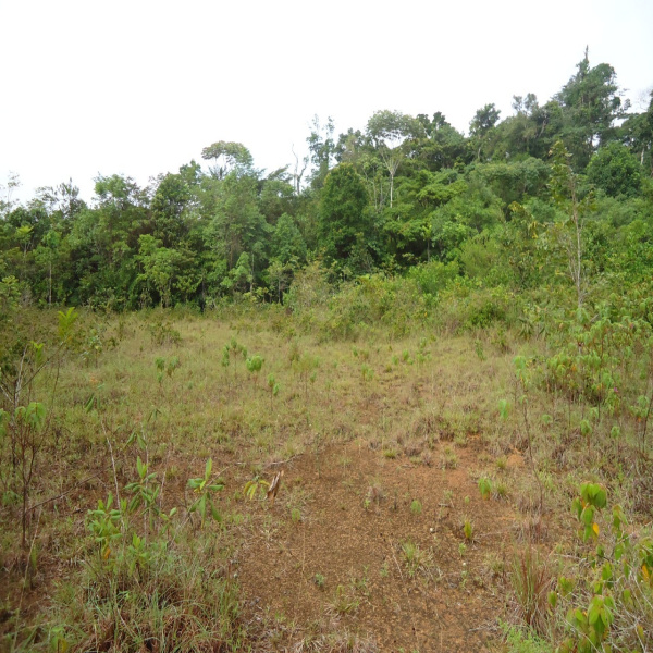 Offres de vente Terrain Roura 97311